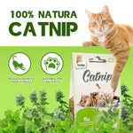 Load image into Gallery viewer, DENTALIGHT - Catnip for Cats & Kittens, Leavest, Flower & Stem Blend, 100% Natura & Chemical Free, Non-Addictive, 15g