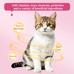 Load image into Gallery viewer, DENTALIGHT - Omegas Crunchy Cat Chew Treat, Rich in Fish Oil and Egg Powder, Vitamins & Minerals Enriched, 60g