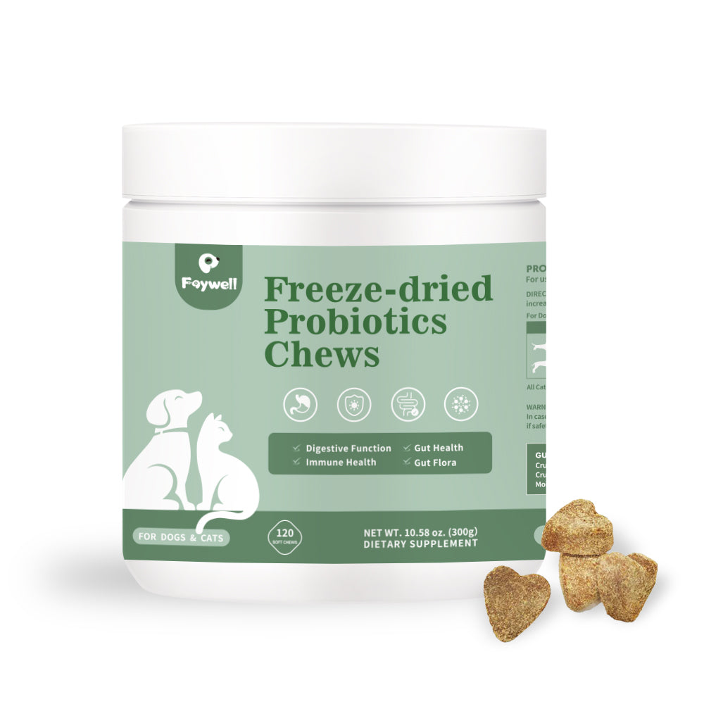 Digestive Health