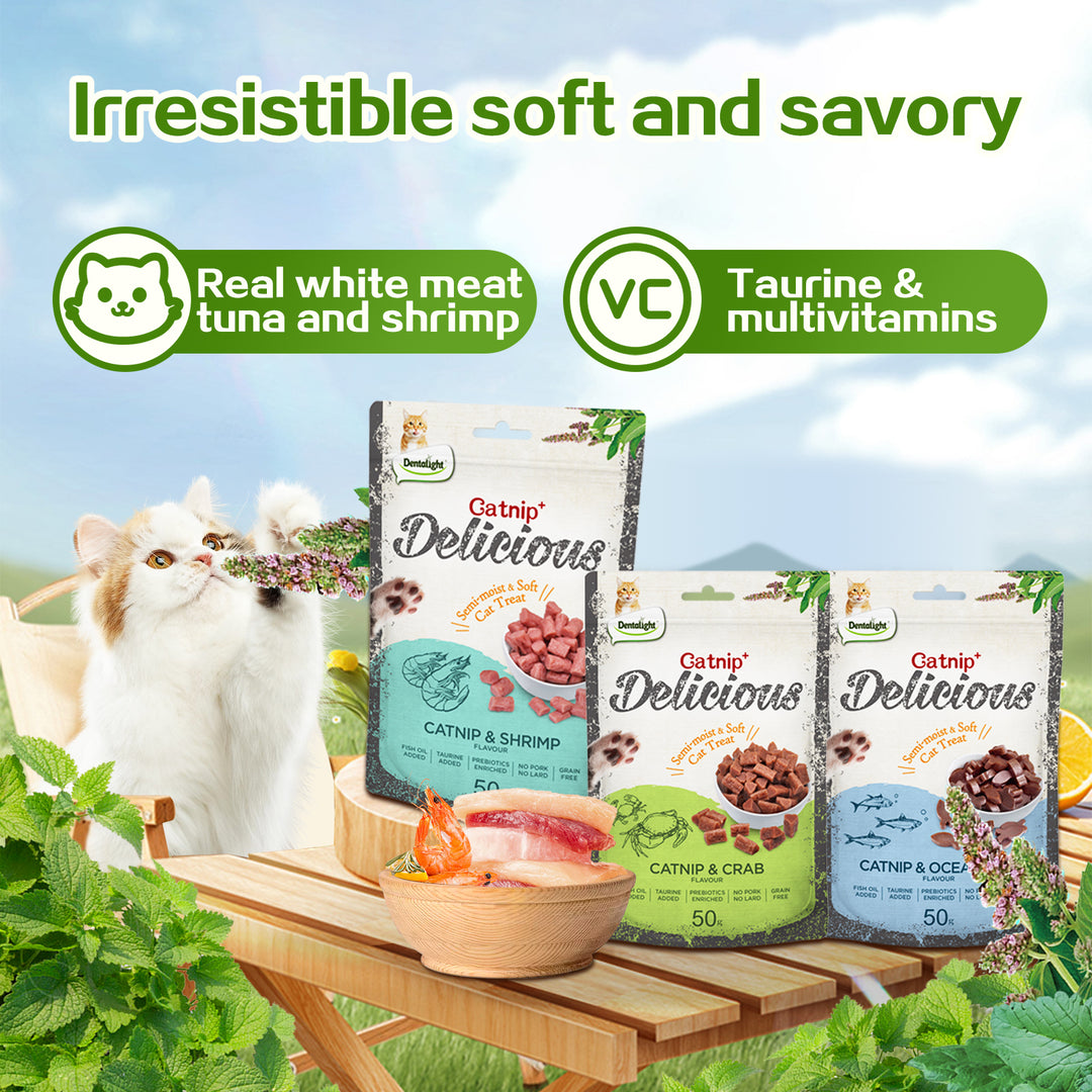 DENTALIGHT - Catnip Delicious, Soft Cat Chew Treat, Real Meat and Seafood, Fish Oil and Taurine Added, Prebiotics Enriched, 50g