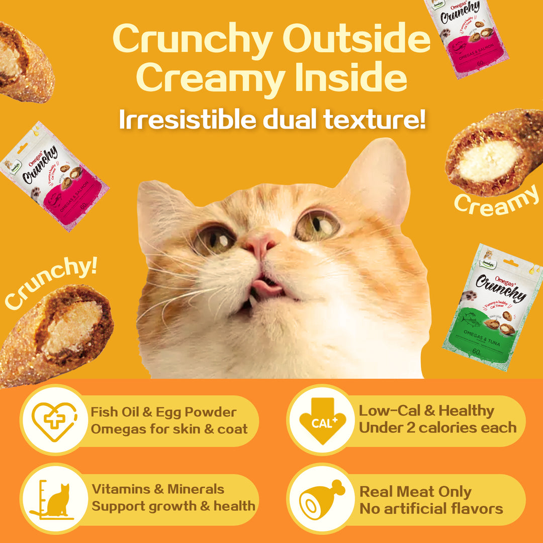 DENTALIGHT - Omegas Crunchy Cat Chew Treat, Rich in Fish Oil and Egg Powder, Vitamins & Minerals Enriched, 60g