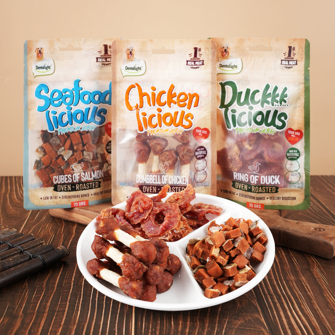 Dentalight - Jerky Dog Training Treats, Chicken/Duck/Salmon, Real Meat, Omega-3 & Fish Oil, High Protein, Immune Support, 7.41 oz(210g), Pack of 3 (3 Flavors) DL-18-20