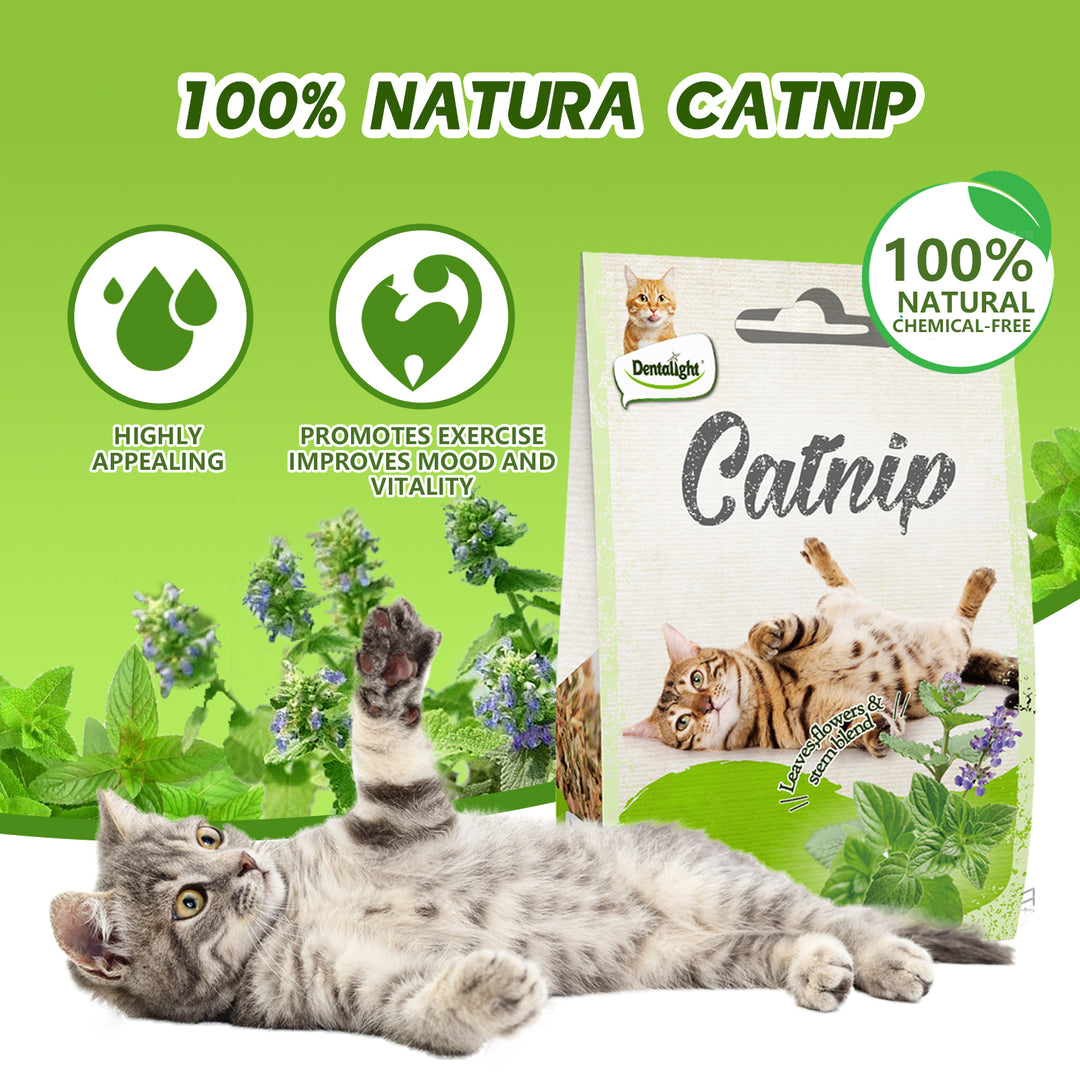 DENTALIGHT - Catnip for Cats & Kittens, Leavest, Flower & Stem Blend, 100% Natura & Chemical Free, Non-Addictive, 15g