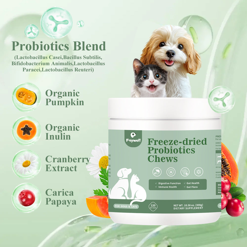 FAYWELL - Freeze-dried Probiotics Chews Supplement for Dogs & Cats, 5-in-1 Probiotic Blend for Digestive and Gut Health, 120ct/300g