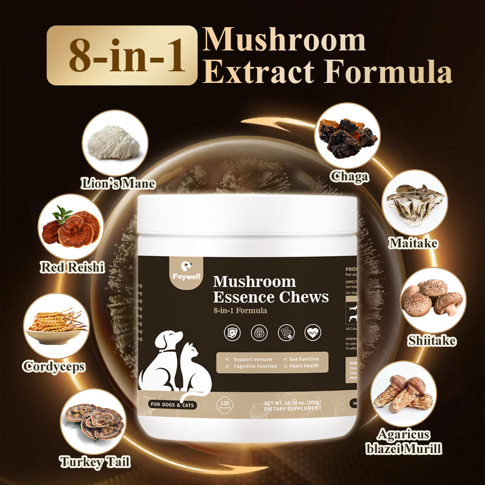 FAYWELL - Mushroom Essence Chews Supplement for Dogs & Cats, 8-in-1  Formula for Immune, Cognitive and Heart Function, 120ct/300g