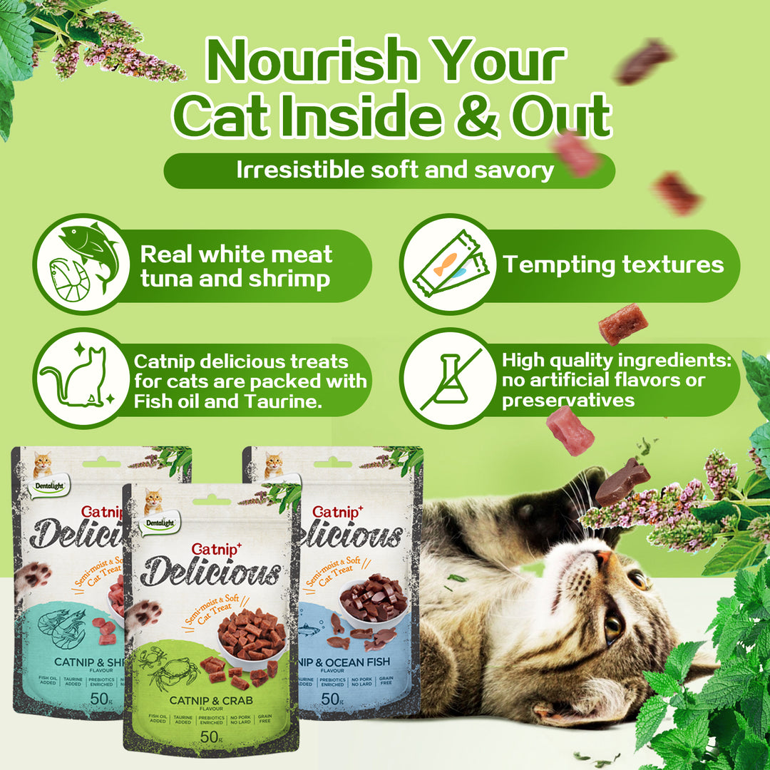 DENTALIGHT - Catnip Delicious, Soft Cat Chew Treat, Real Meat and Seafood, Fish Oil and Taurine Added, Prebiotics Enriched, 50g
