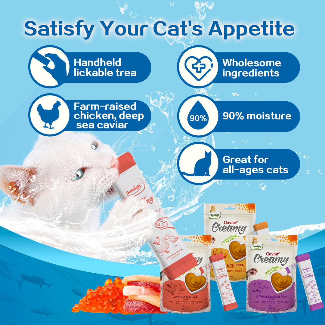 DENTALIGHT - Caviar Chicken Creamy, Handheld Lickable Wet Cat Treat, Prebiotics and Fish Oil Added, Grain Free, 5pcs, 50g