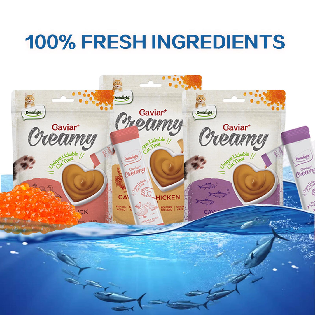 DENTALIGHT - Caviar Chicken Creamy, Handheld Lickable Wet Cat Treat, Prebiotics and Fish Oil Added, Grain Free, 5pcs, 50g