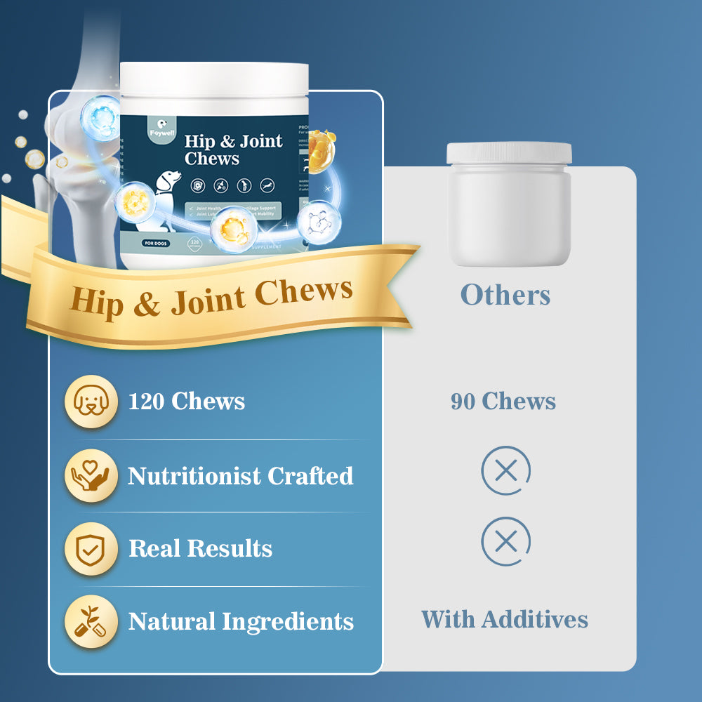 FAYWELL - Hip & Joint Chews Supplement for Dogs, Glucosamine and Chondroitin for Joints Health and Muscle Recovery, 120ct/300g