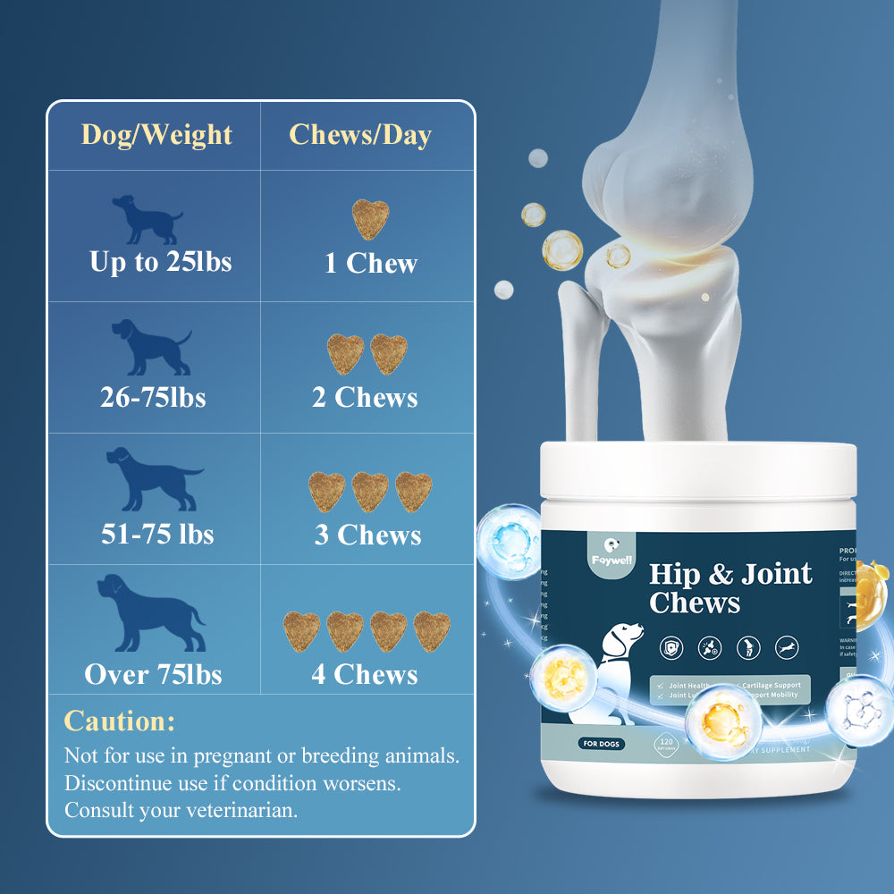 FAYWELL - Hip & Joint Chews Supplement for Dogs, Glucosamine and Chondroitin for Joints Health and Muscle Recovery, 120ct/300g