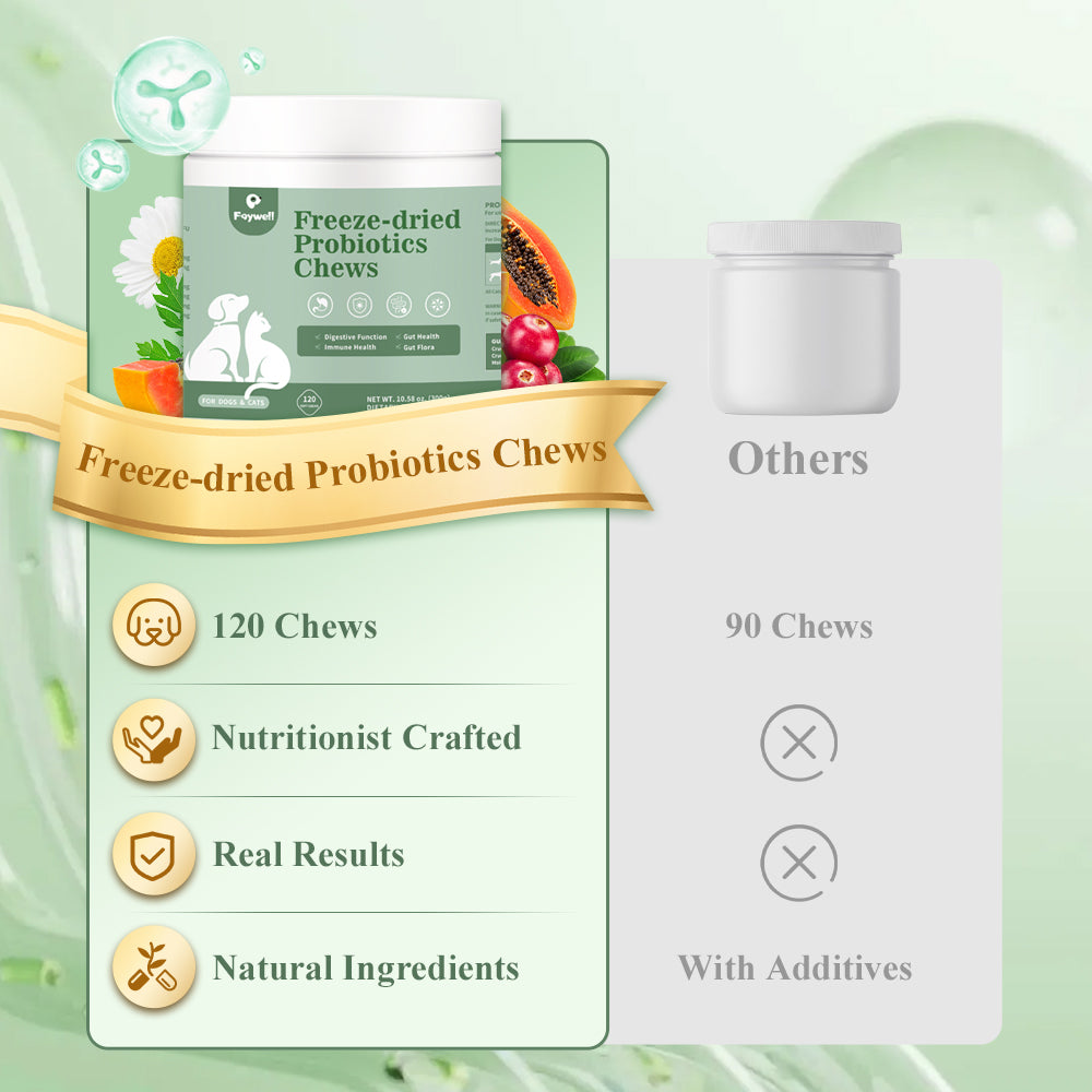 FAYWELL - Freeze-dried Probiotics Chews Supplement for Dogs & Cats, 5-in-1 Probiotic Blend for Digestive and Gut Health, 120ct/300g