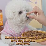 Load and play video in Gallery viewer, FAYWELL - Honey Star Soft Dog Daily Chews, Rich in Calcium &amp; Fiber, Low-Calorie, for Senior Dogs, 12oz/3oz
